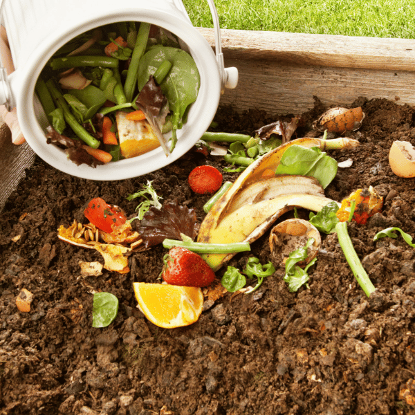 Child engaging in outdoor play while participating in composting activities in a garden setting.